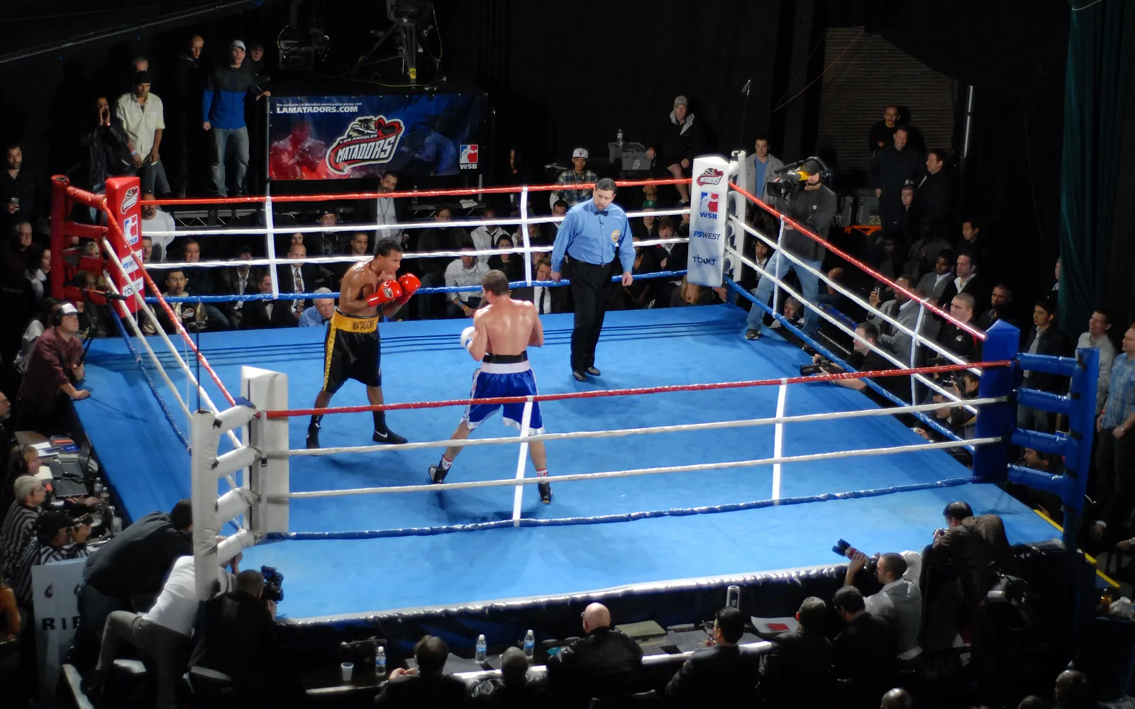 Professional boxing ring setup